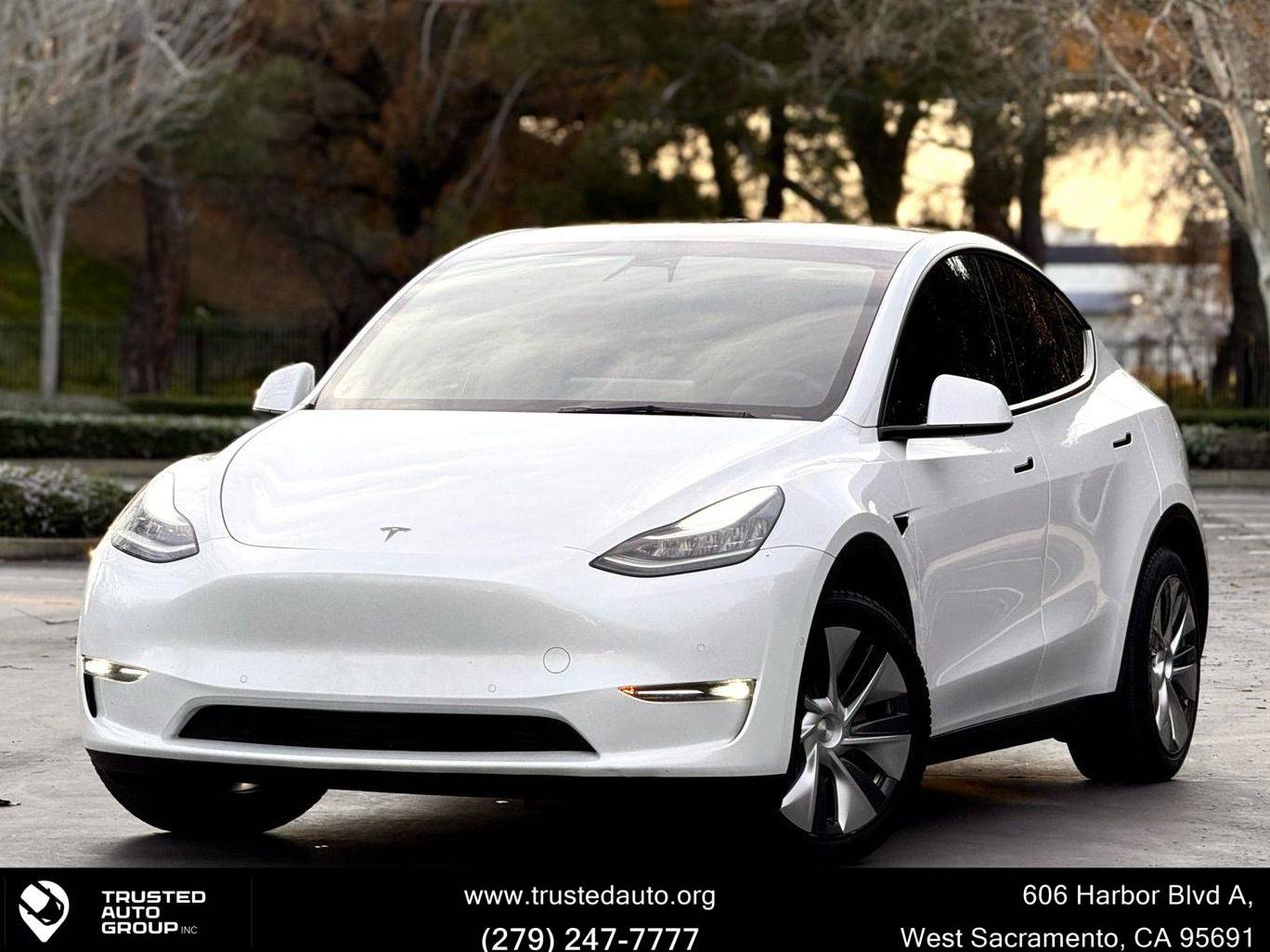 TESLA MODEL Y 2021 5YJYGDEE6MF253681 image